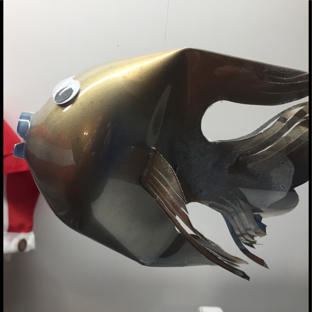 Water bottle fish